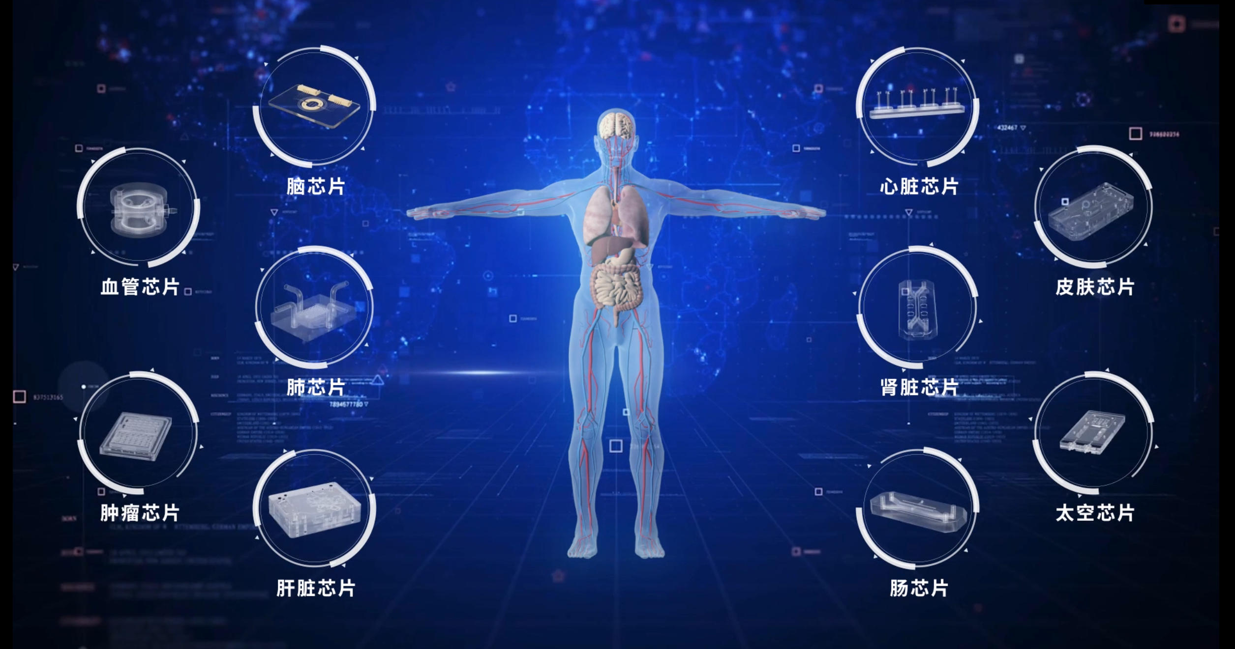 东大苏州医械院孵化公司艾玮得完成近亿元融资 加速人体器官芯片技术突破和产业发展(图2)