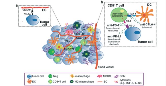 文献导读-研究免疫治疗领域癌症-免疫系统串扰的肿瘤芯片平台(图1)